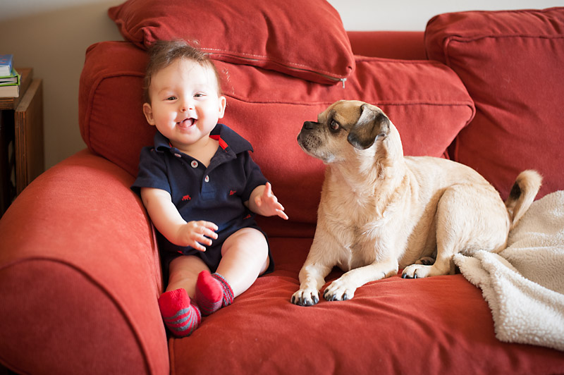 Couch buddies