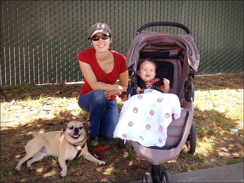 Weekday walking crew