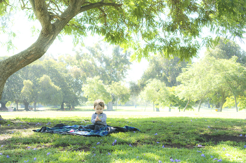 Cheviot Hills Park