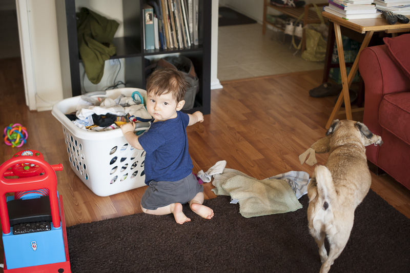 Laundry helper