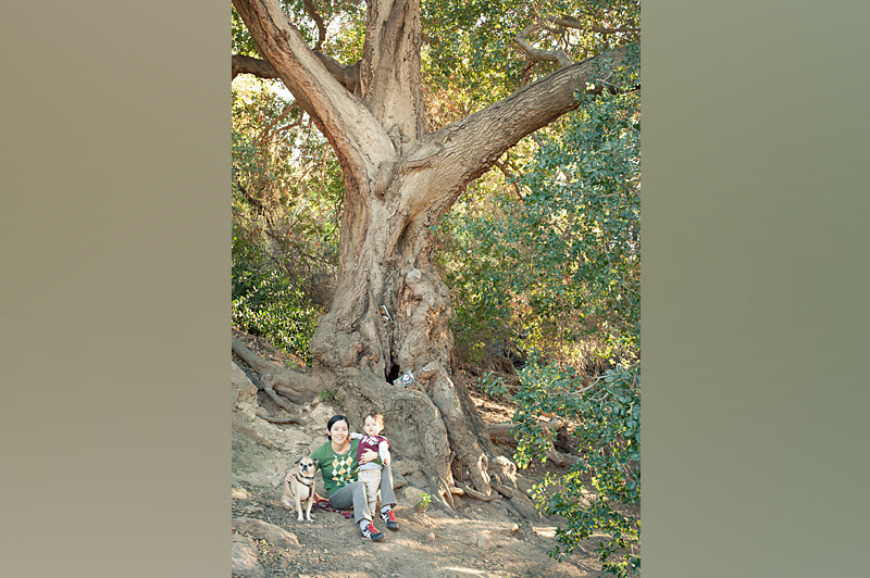 The Giving Tree hike