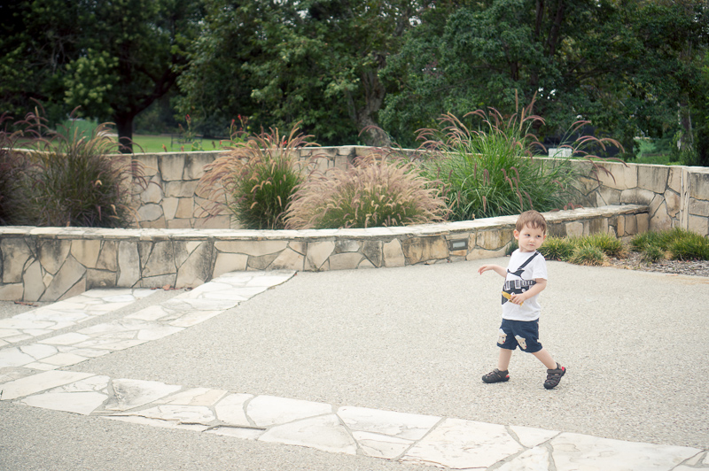 Los Angeles Arboretum