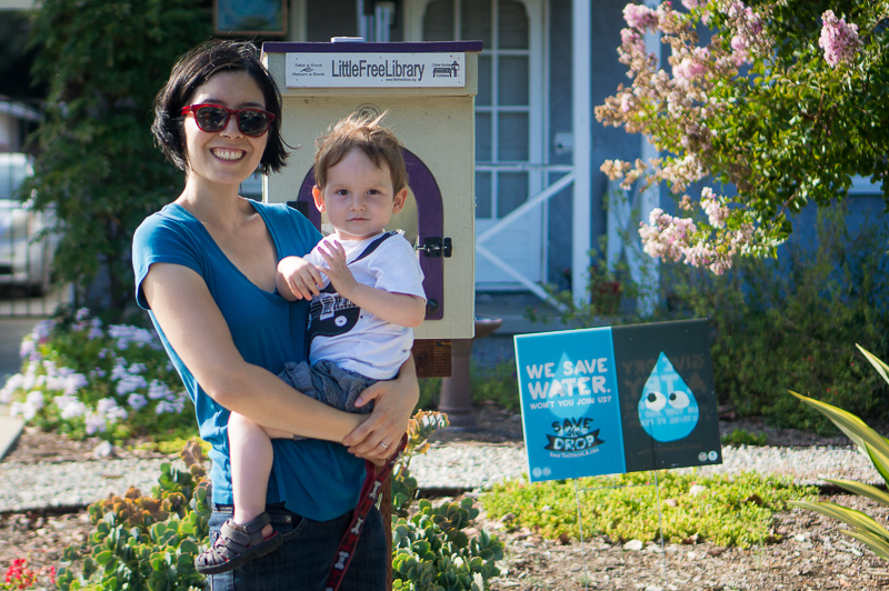 Little Free Library