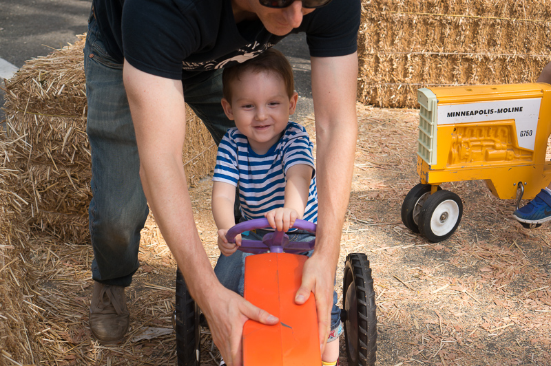 Fall Festival