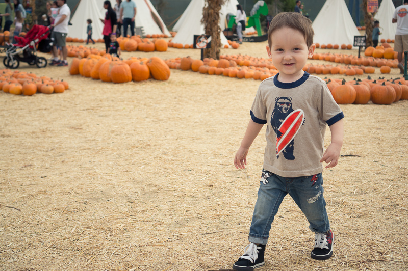 Mr. Bones Pumpkin Patch