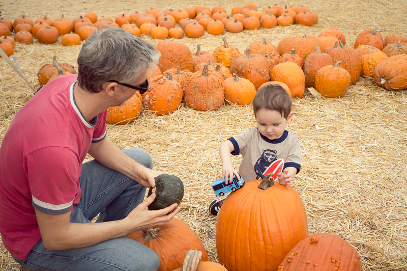 Mr. Bones Pumpkin Patch