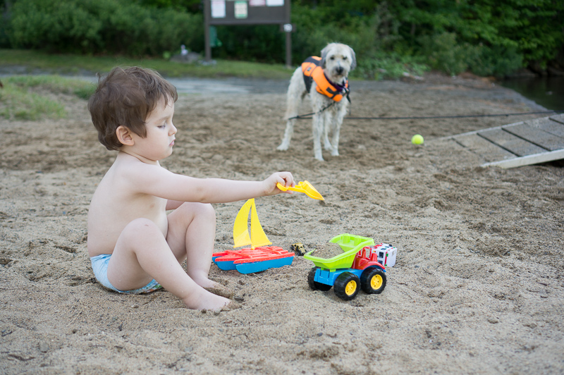 Dog park and the lake